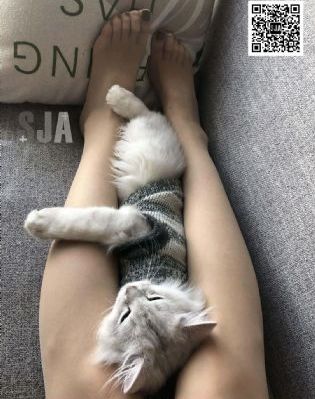 国产91网在线播放_影音先锋资源